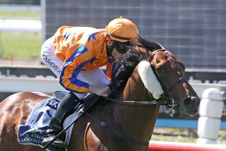Hall Of Fame (NZ) Becomes Latest Ready to Run Sale Star. Credit: Race Images, Christchurch.